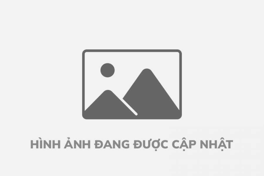 san-pham-dang-cap-nhat